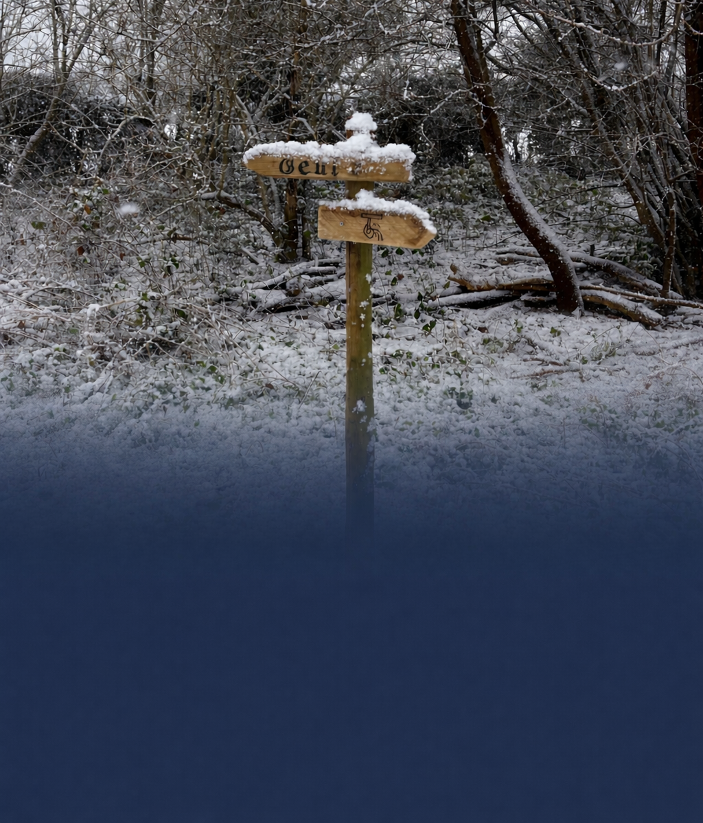 Golden fireworks over a city skyline at night